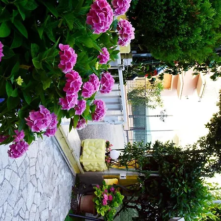 New Cirene Single With Full Package Rimini
